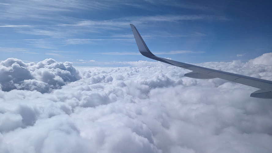 MIA_2024-03-28 15-08-04_PXL_20240328_140804506
